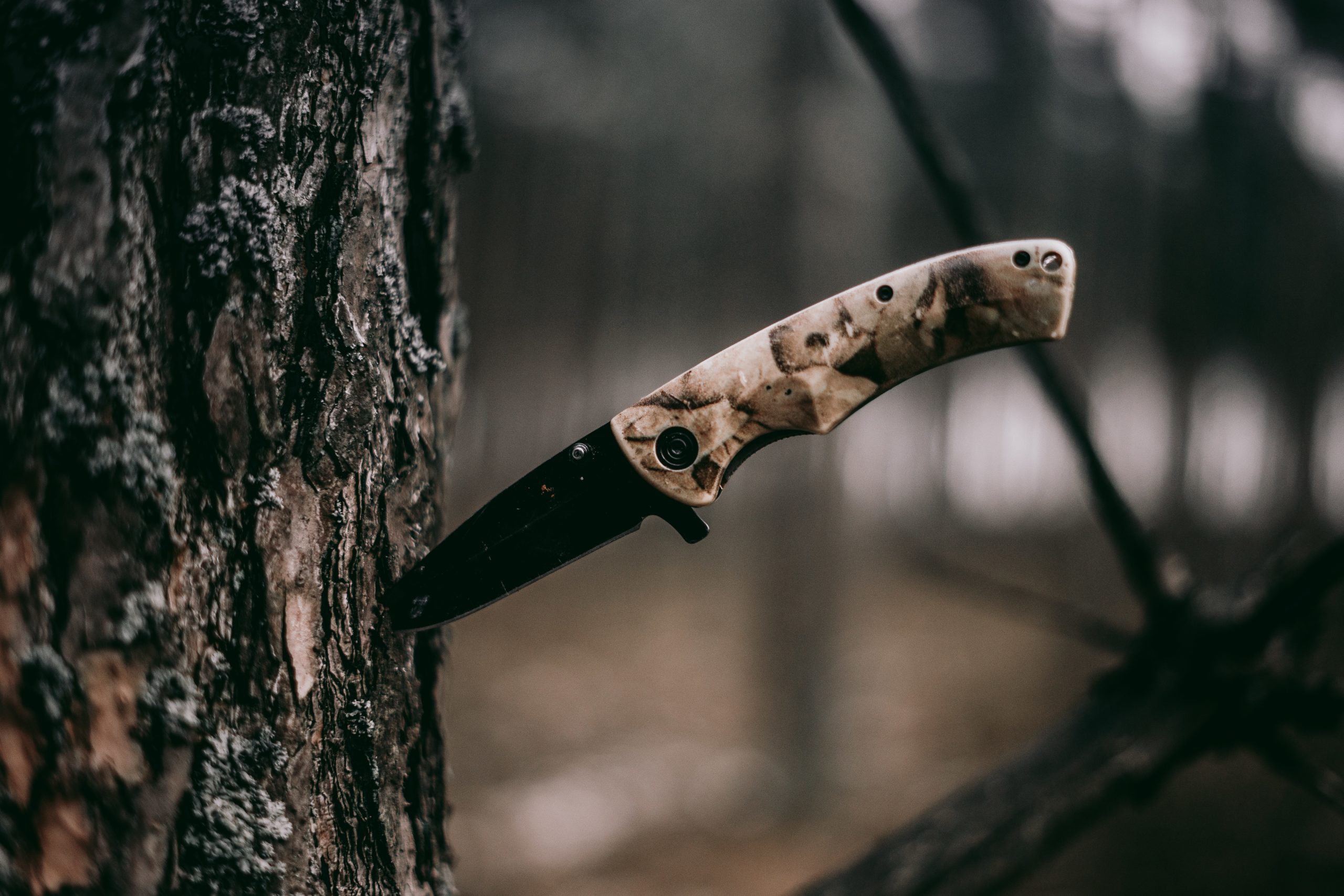 sebastian-pociecha-eSKxTEoef2o-unsplash